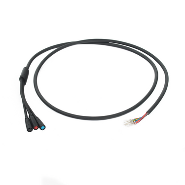 Main Connector for the Warrior and the King